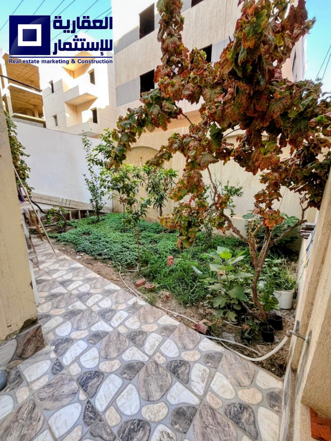 Picsart_25-11-30_12-35-53-917