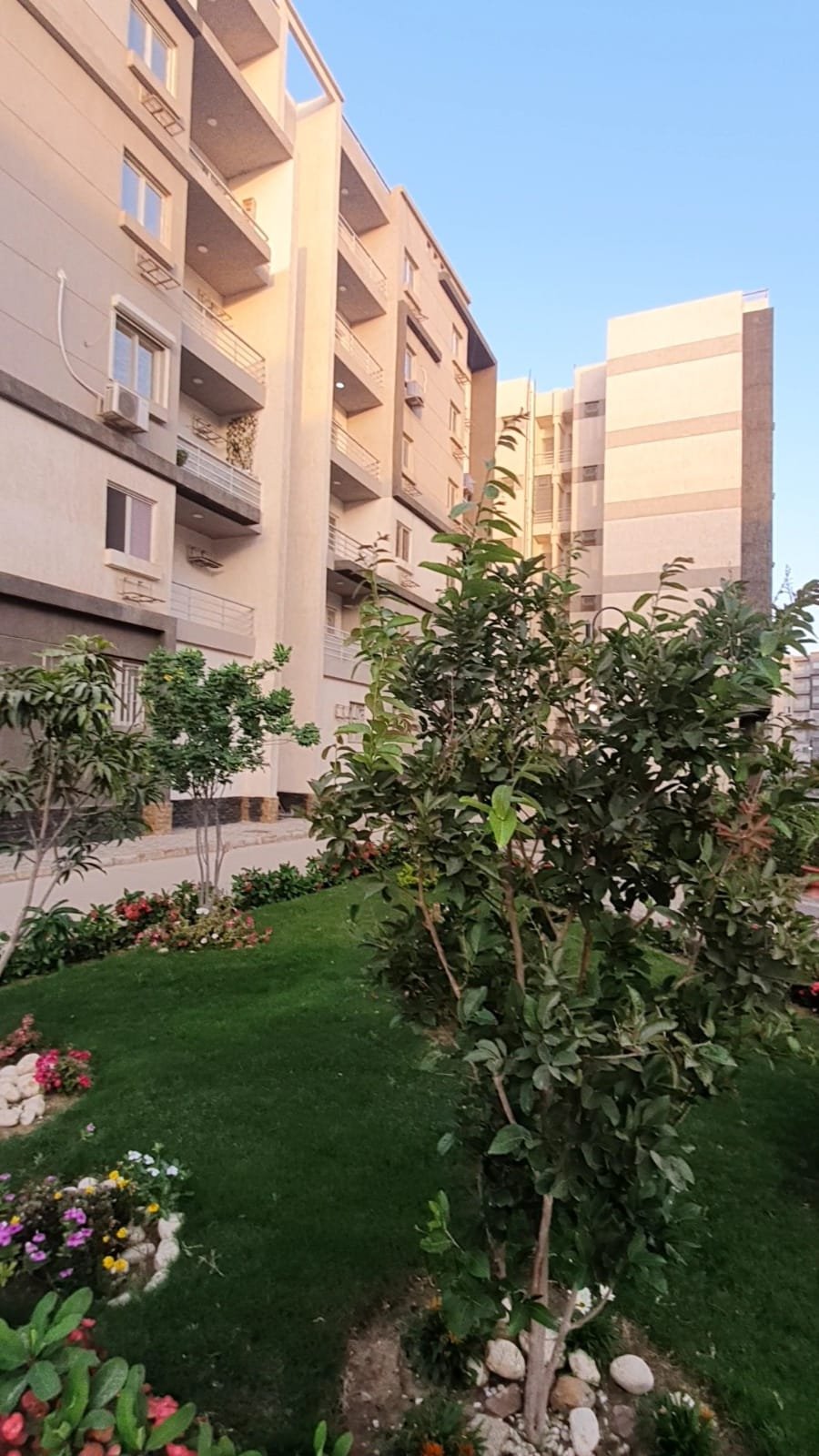 WhatsApp Image 2025-02-01 at 4.09.11 PM (2)