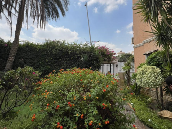 فيلا للبيع الشيخ زايد