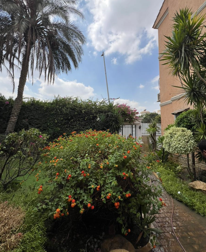 فيلا للبيع الشيخ زايد فيلا للبيع الشيخ زايد